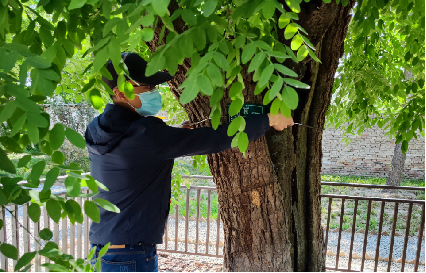 預防技術(shù)措施