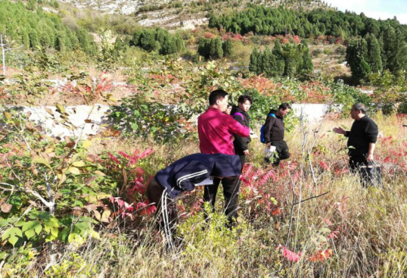 林木資產(chǎn)價(jià)值評估方法及注意事項淺析