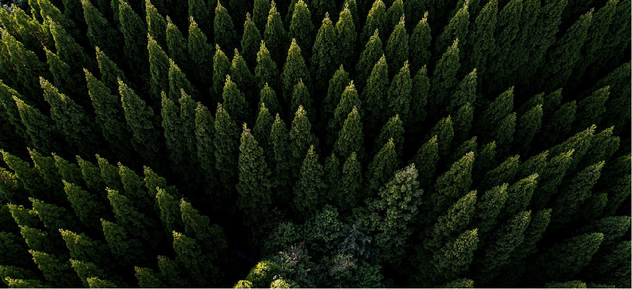 林火時(shí)間與地理分布