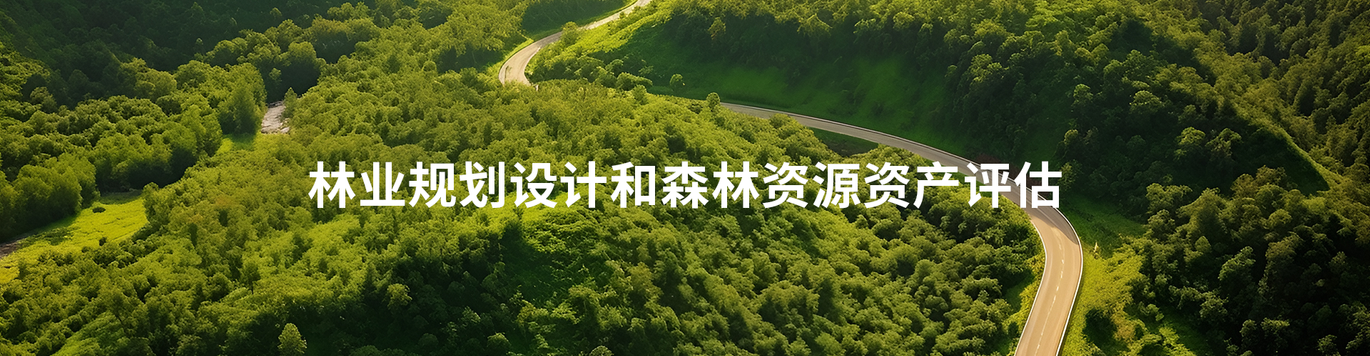 一文搞懂林木資產(chǎn)價(jià)格評估需要的6項數據分別是哪些